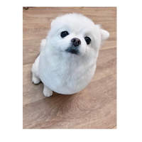 画像2363