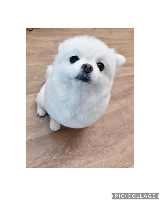 画像2363