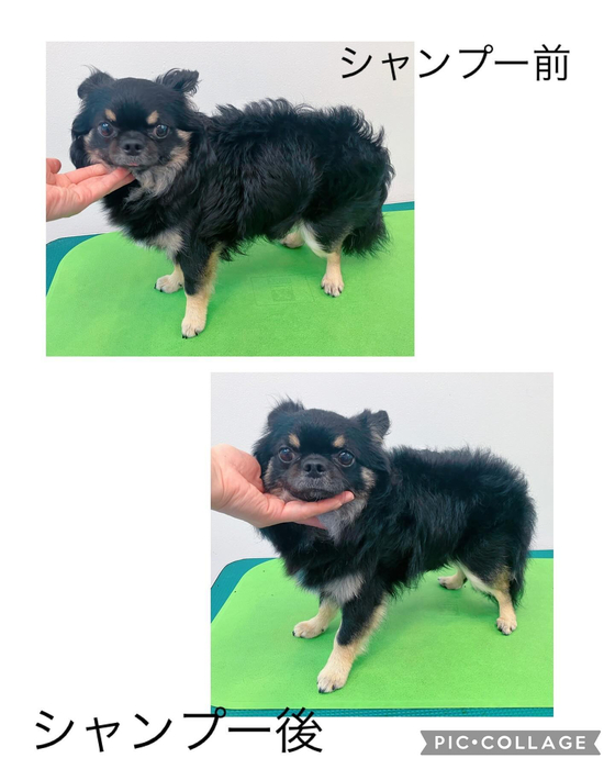 画像2373
