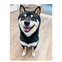画像2388
