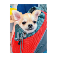 画像2397