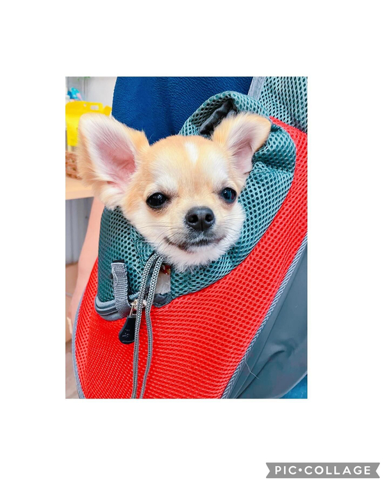 画像2397