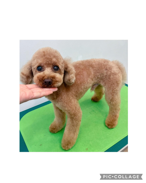 画像2406