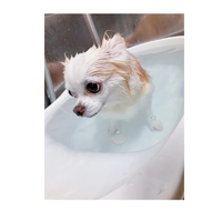 画像2430