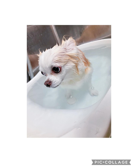 画像2430