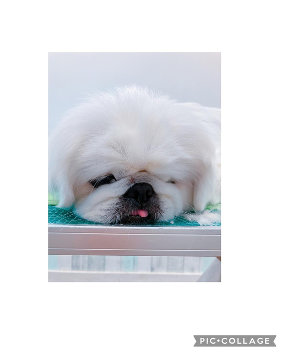 画像2436