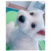 画像244