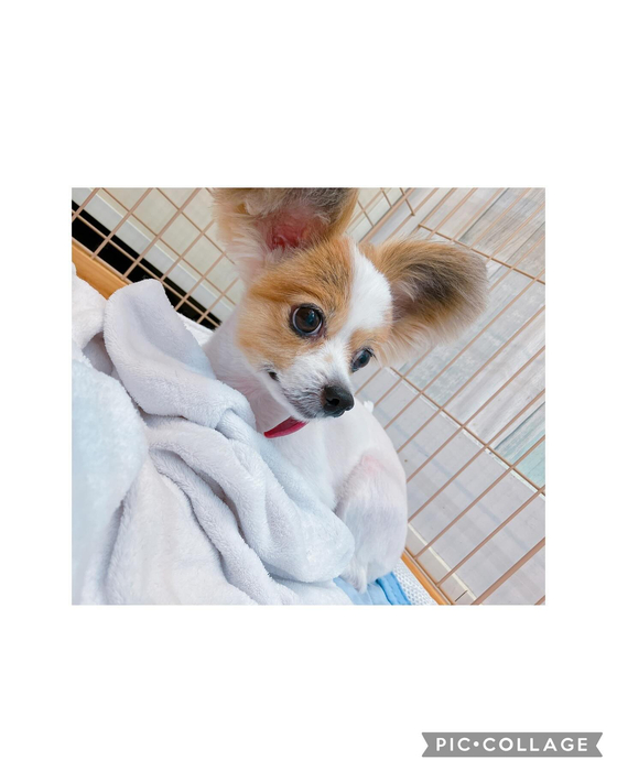 画像2442