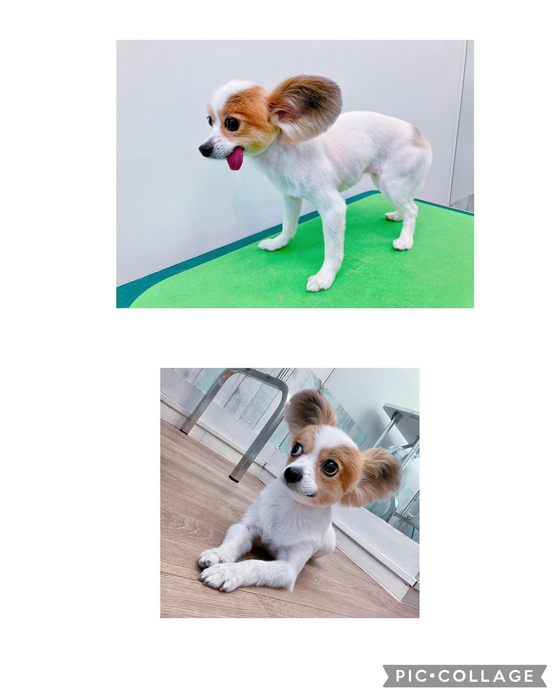 画像2443