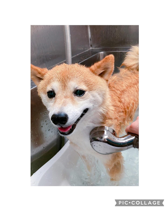 画像2460