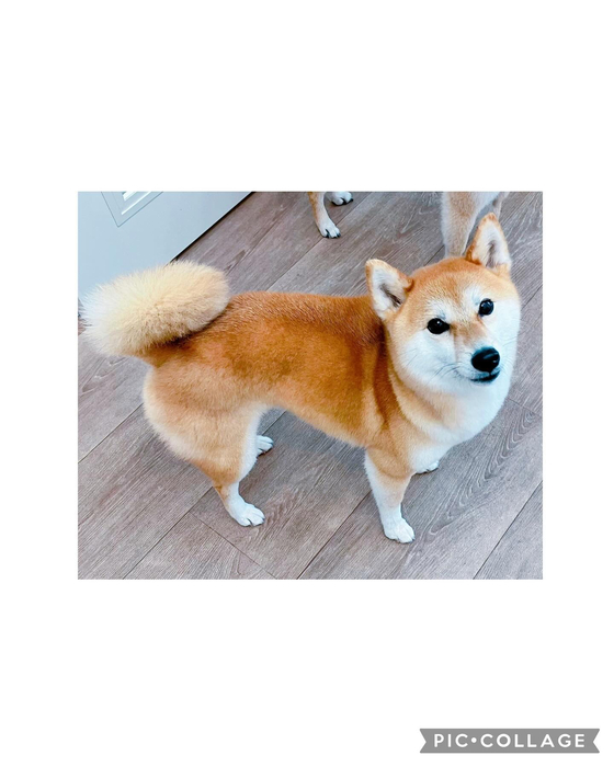画像2463