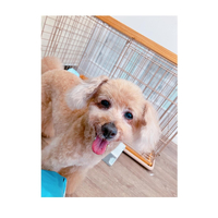 画像2466