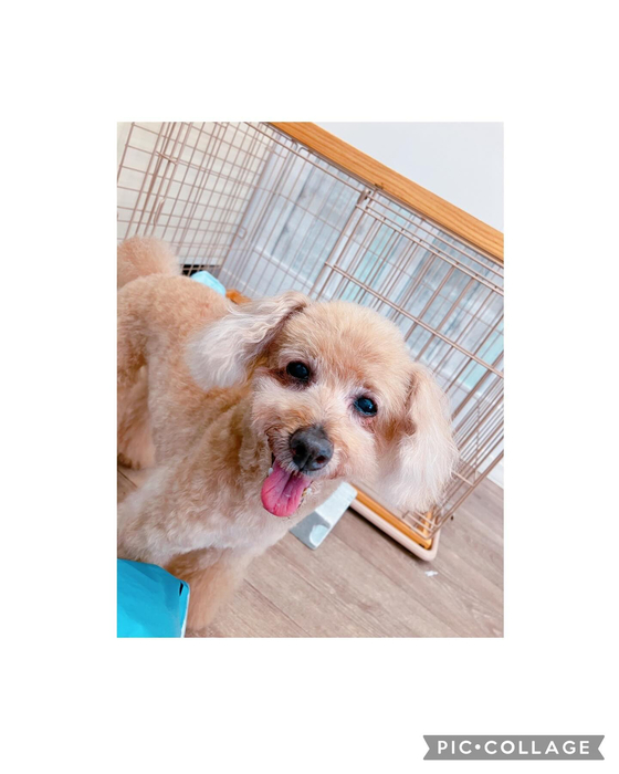 画像2466