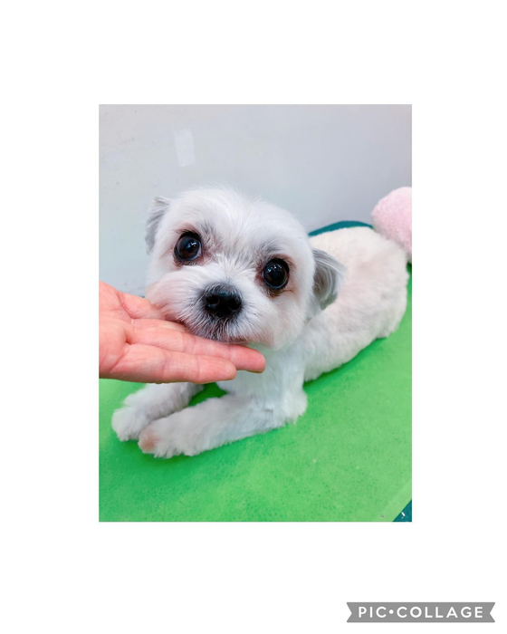画像2469