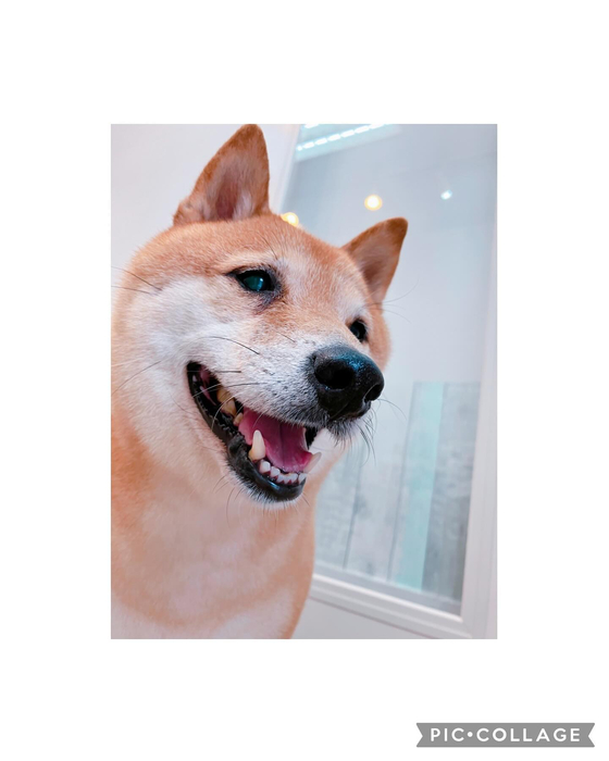 画像2474
