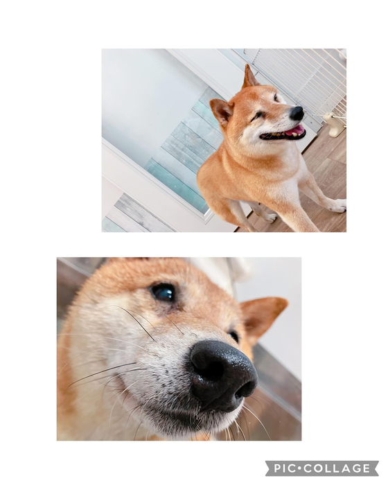 画像2475