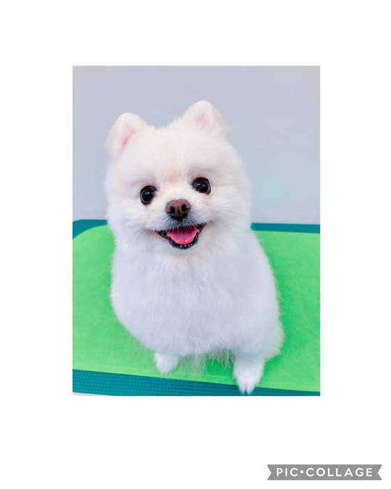 画像2480