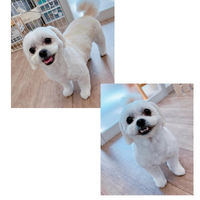 画像2514