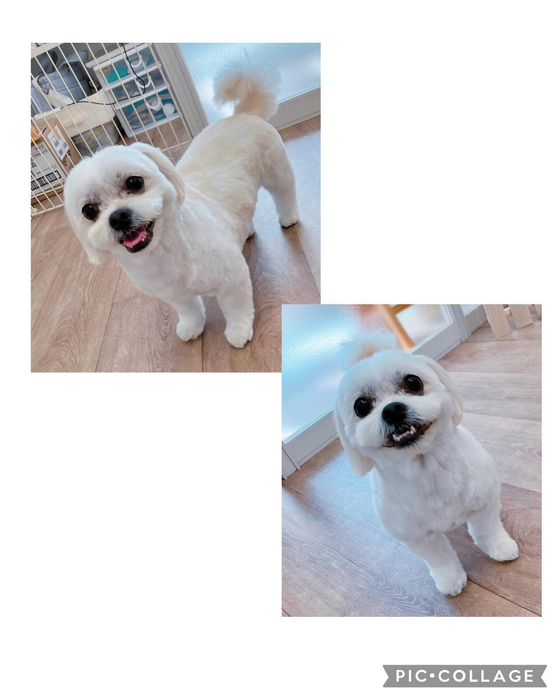 画像2514