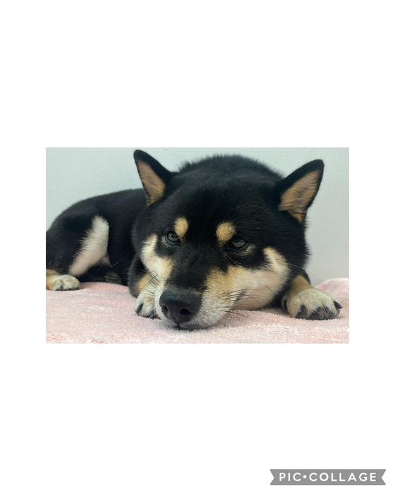 画像2527