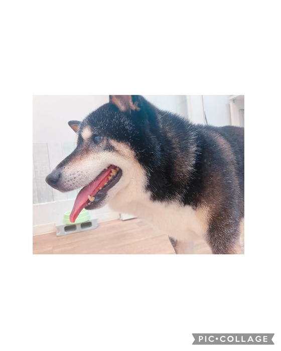 画像2537