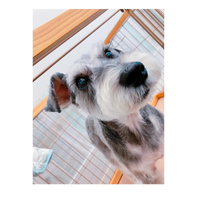 画像2543