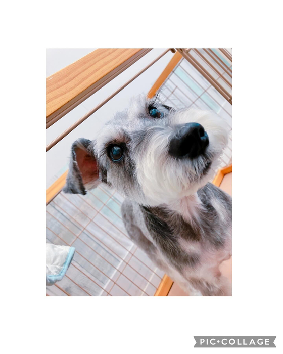 画像2543