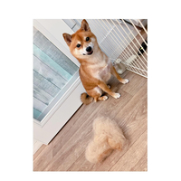 画像2555