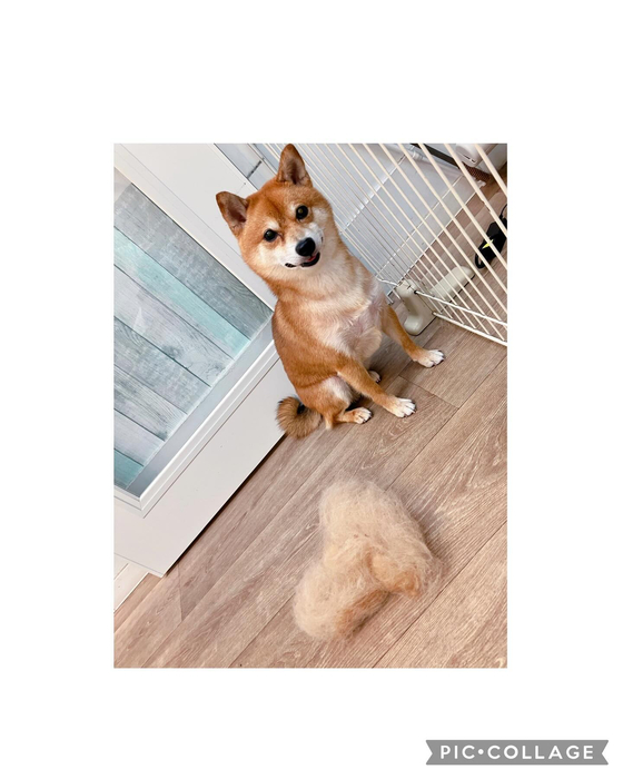 画像2555