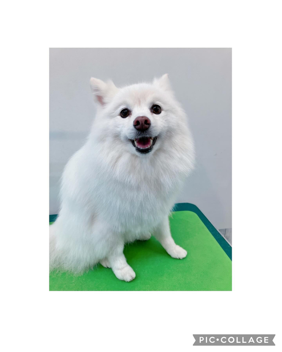 画像2579