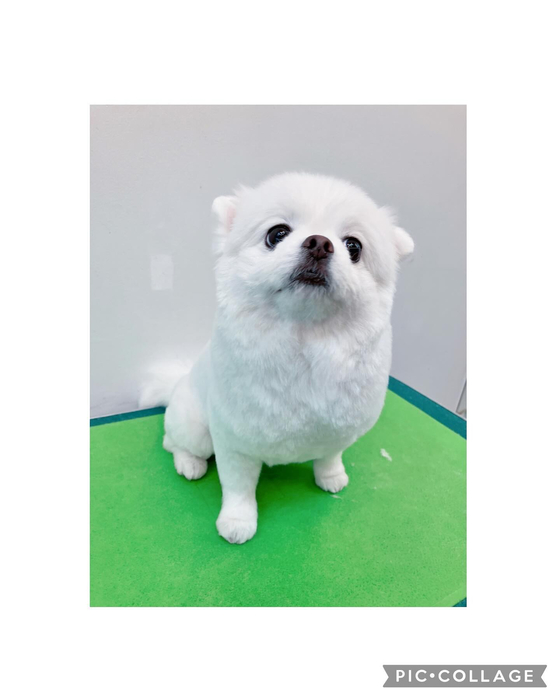 画像2594