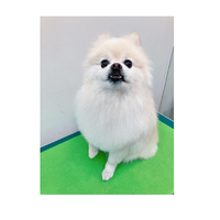 画像2622