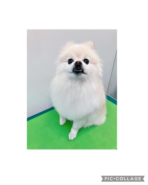 画像2622