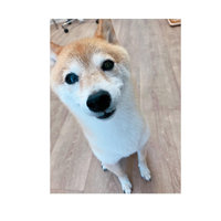画像2654
