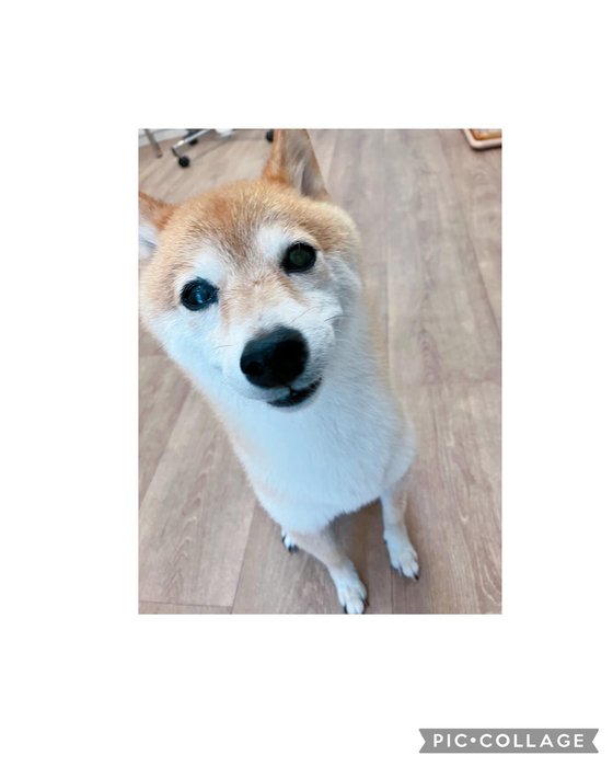 画像2654