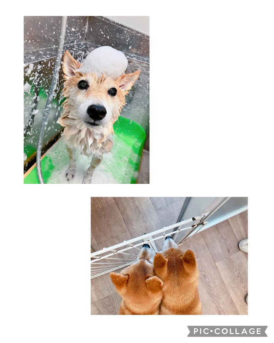 画像2658