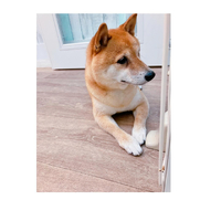 画像2660
