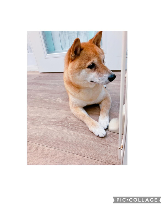 画像2660