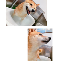 画像2661