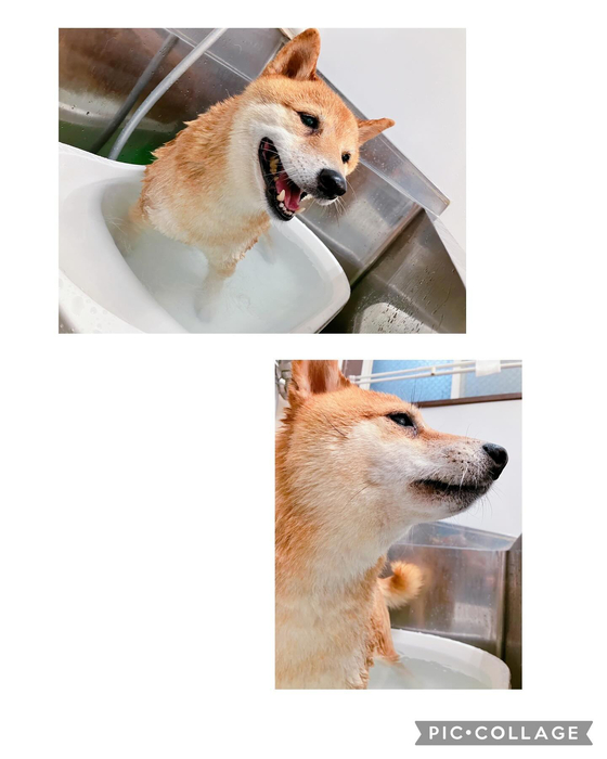 画像2661