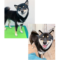 画像2664