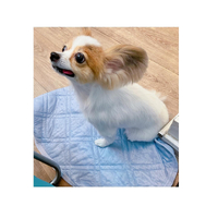 画像2667