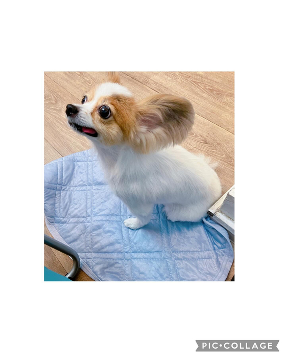画像2667