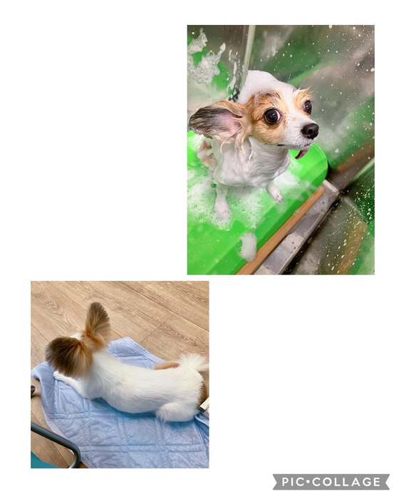 画像2668