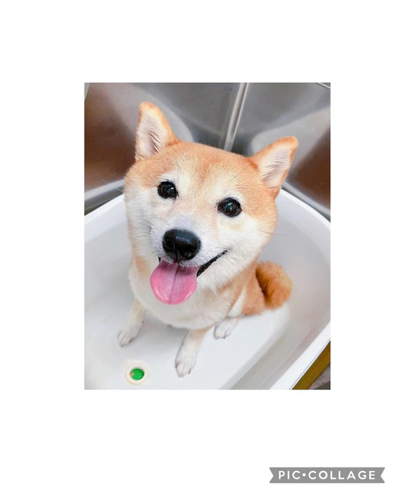 画像2700