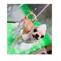 画像2736