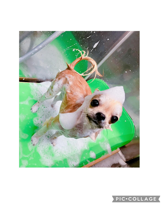 画像2736