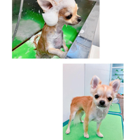 画像2737