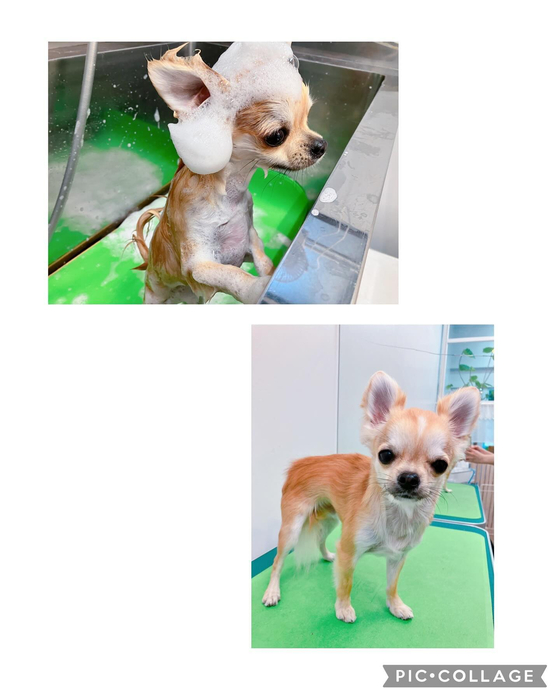 画像2737