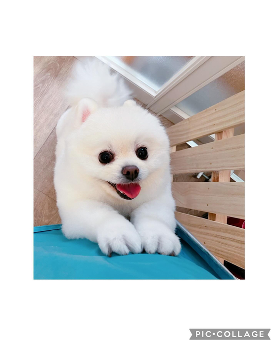 画像2768
